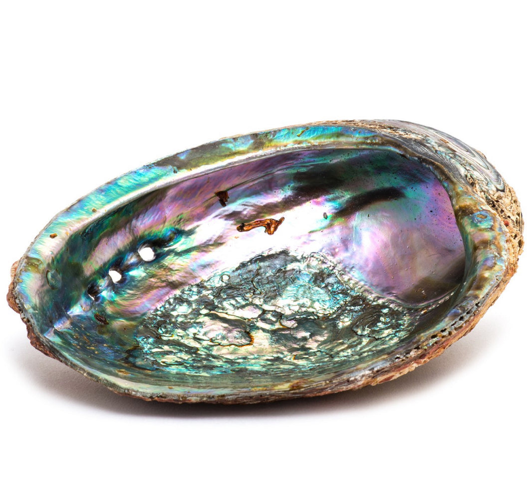 Smudge Ash Tray Burner - Abalone shell - Large 5