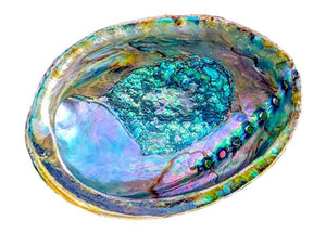 Abalone shell ash tray / wooden Stand / sage smudging herbs